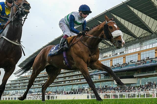 英ゴールドC前哨戦、G3サガロSはコルトレーンが連覇 | JRA-VAN World