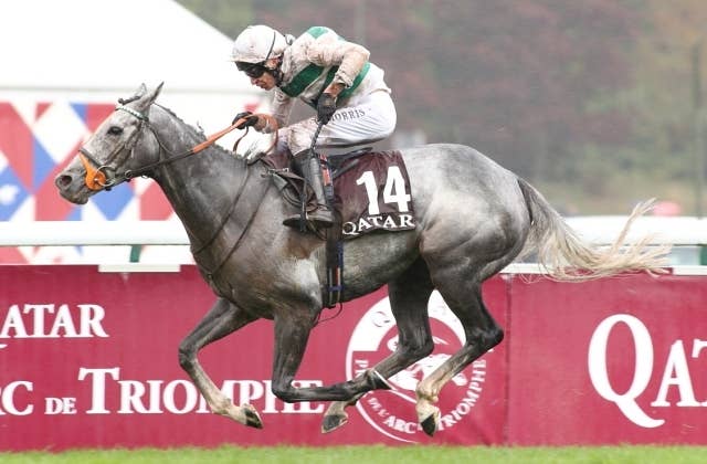 芦毛の凱旋門賞馬アルピニスタとディープインパクト後継種牡馬スタディ