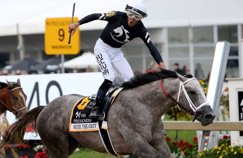 シーズザグレイ（Seize The Grey） | 競馬データベース | JRA