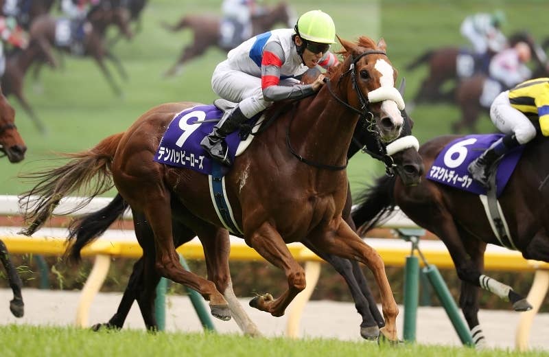 2024ブリーダーズカップ | JRA-VAN World - 海外競馬情報サイト