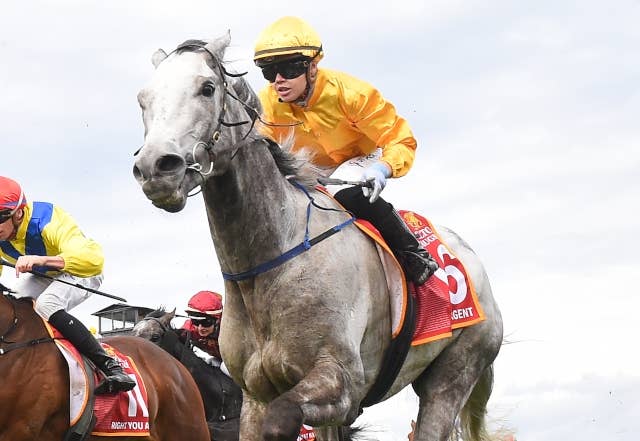 7歳馬のボワダルジャンが重賞初制覇、豪G1ドゥームベンCで逃げ切り