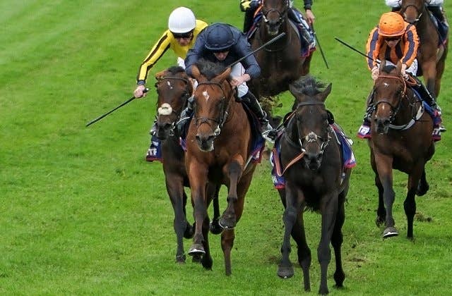 凱旋門賞の歴史 全３巻 ダービー 発行 競馬国際交流協会 4冊セット＋おまけ 世界最高峰のレース「凱旋門賞」に出走する日本馬にエールを送