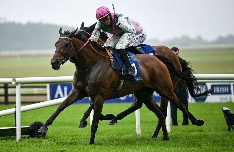 ブルーストッキング（Bluestocking） | 競馬データベース | JRA-VAN