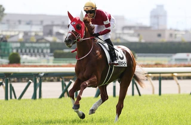 愛チャンピオンSの馬券発売が決定、シンエンペラーが参戦予定