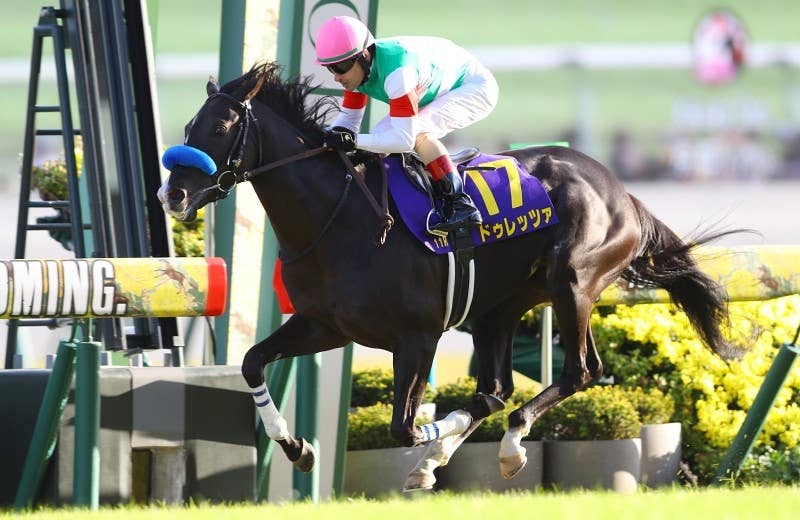 【超貴重】競馬　ドゥラメンテ　グラス ドゥラメンテ (Duramente) | 競走馬データ - netkeiba