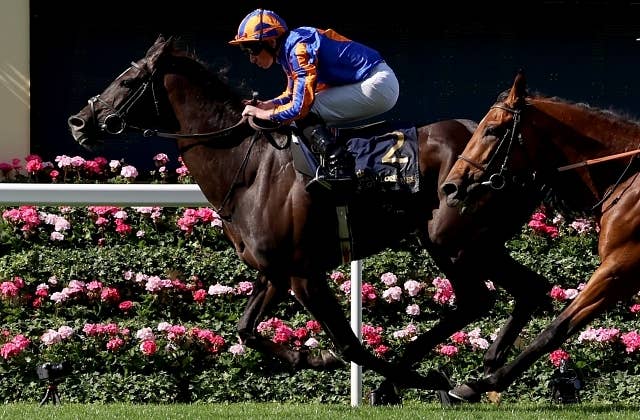 【キングジョージ】オーギュストロダンは「アスコットのあとはジャパンC」公式ニュース伝える JRAVAN World 海外競馬情報サイト