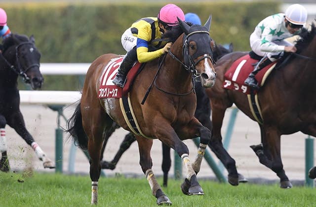 コックスプレート 2024 プログノーシス キャップ 社台 一口馬主 競馬 コックスプレート（G1） 2024/10/26(土) | 日程・結果 | JRA-VAN World