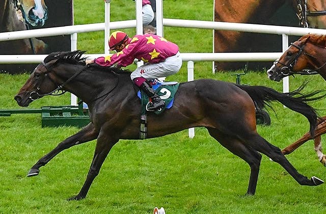 トルカータータッソ（Torquator Tasso） | 競馬データベース