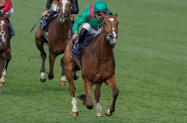 英インターナショナルSで2着のカランダガン、次走は英チャンピオンSが