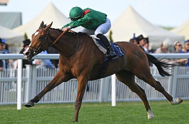 英インターナショナルS】「危険な人気馬」カランダガン…仏調教馬が最後
