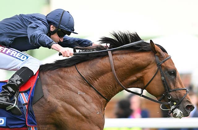 英インターナショナルS】「危険な人気馬」シティオブトロイの絶対視は