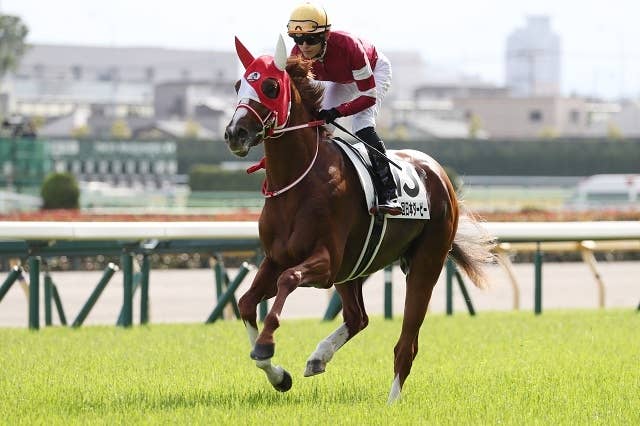 シンエンペラーで凱旋門賞を目指す矢作師、「来年以降のために今年挑戦