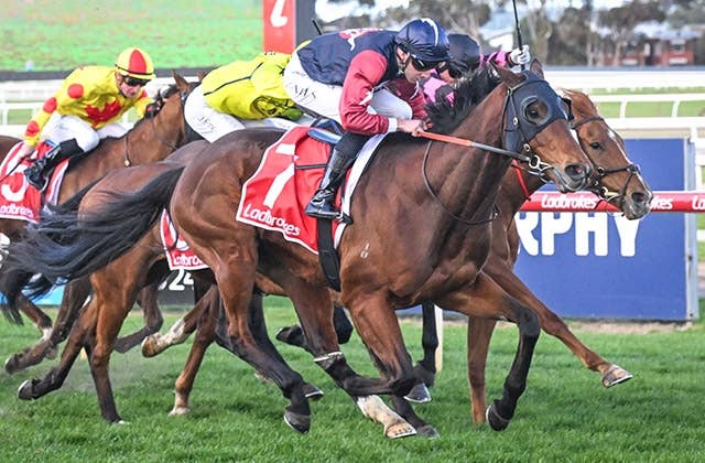 三歳未勝利様確認用 夏競馬で3歳未勝利戦は終了するけど…ニシノクレセントのように新天地で