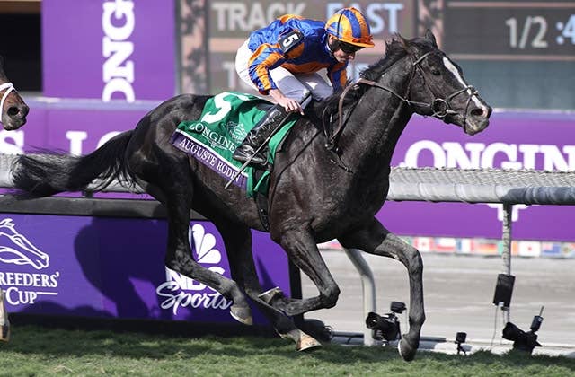 オペラシンガー（Opera Singer） | 競馬データベース | JRA-VAN World