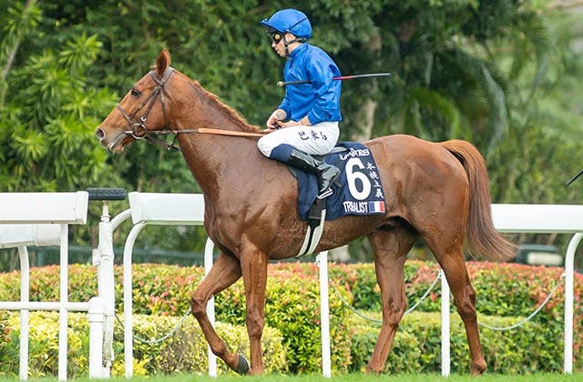 フランス競馬百年史　ギイ.チボー著　貴重 フランス競馬百年史 ギイ.チボー著 貴重 第68回 #金盃（SII）を