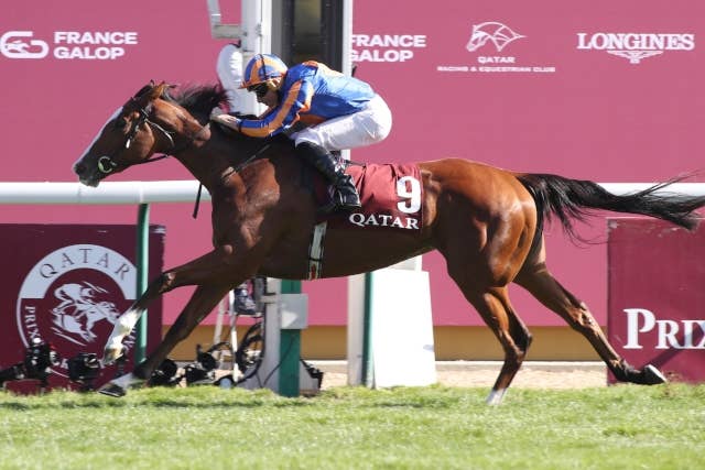 オペラシンガー（Opera Singer） | 競馬データベース | JRA-VAN