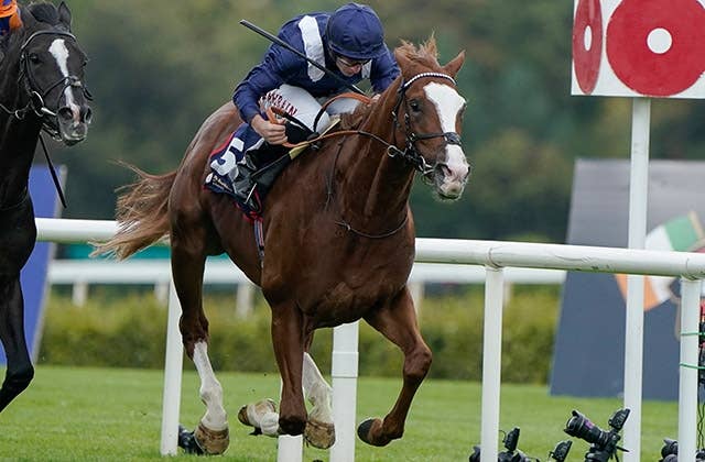 愛チャンピオンS快勝のエコノミクスは凱旋門賞参戦の可能性を否定