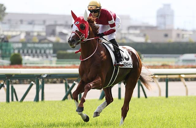 競馬 優勝馬引き綱 額装品 JRA公式 優勝記念 Japanese Horse 競馬 優勝