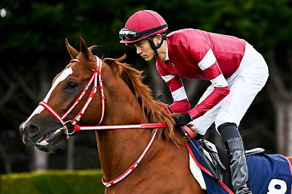 ラッキーライラック（Lucky Lilac） | 競馬データベース | JRA-VAN World - 海外競馬情報サイト