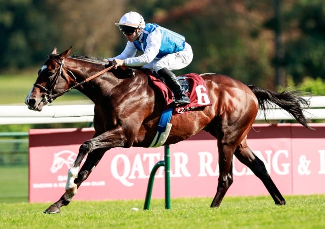 オルネドフォイユ 購入Brigitte Tanaka / 凱旋門 オルネドフォイユ 購入Brigitte Tanaka / 凱旋門 Miyama McQueen