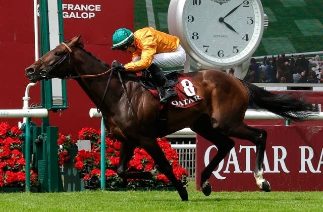 凱旋門賞の歴史 全３巻 ダービー 発行 競馬国際交流協会 4冊セット＋おまけ 希少 レア 凱旋門賞の歴史 第3巻 1965-1982 フランス 競馬