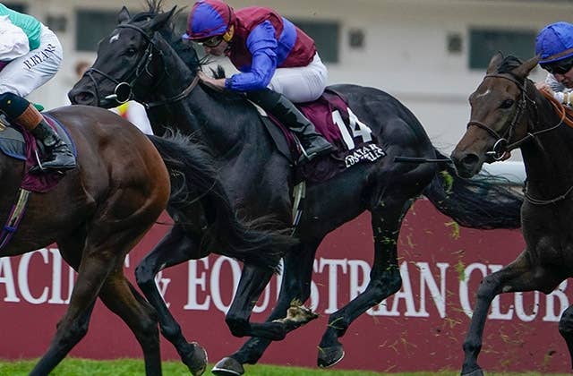 凱旋門賞（G1） 2024/10/6(日) | 日程・結果 | JRA-VAN World