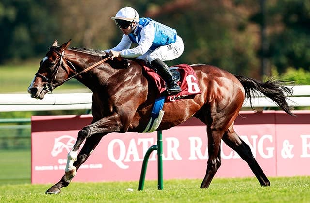 凱旋門賞2024】ゴール板前観戦チケット(主催者完売チケット)【海外競馬 