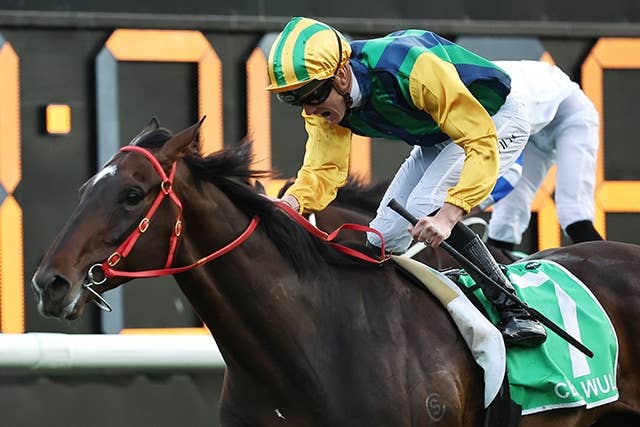 豪G1エプソムHはチェオルウルフが快勝、今後はゴールデンイーグルに