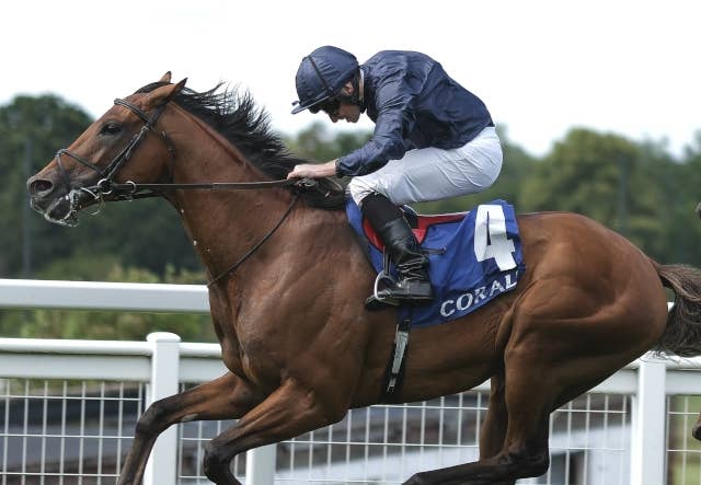 シティオブトロイはBCクラシックで引退、種牡馬に転身へ | JRA-VAN