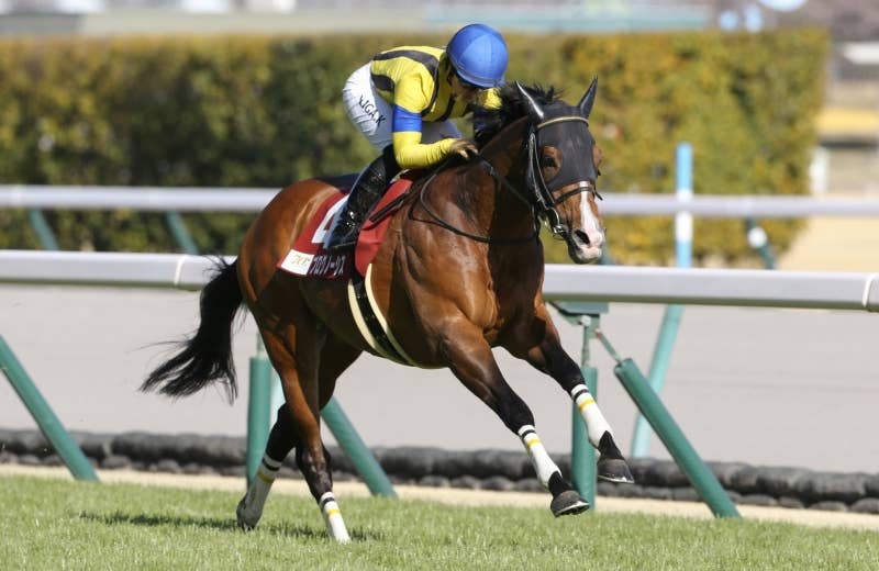 コックスプレート 2024 プログノーシス キャップ 社台 一口馬主 競馬 コックスプレート（G1） 2024/10/26(土) | 日程・結果 | JRA-VAN World