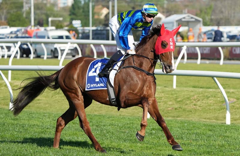 1992年G1レース馬券　エルウェーウィン　スエヒロジョウオー　新しい風 1992年阪神3歳牝馬S優勝 スエヒロジョウオーが死す