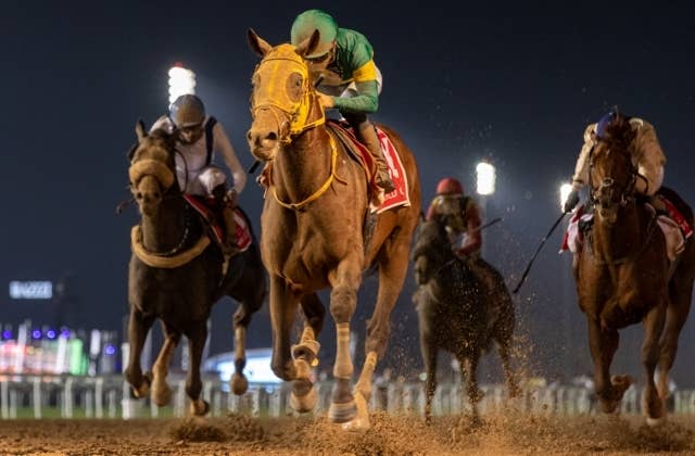 まねき馬No2477海外挑戦日本馬BEST10 ウシュバテソーロ(競馬