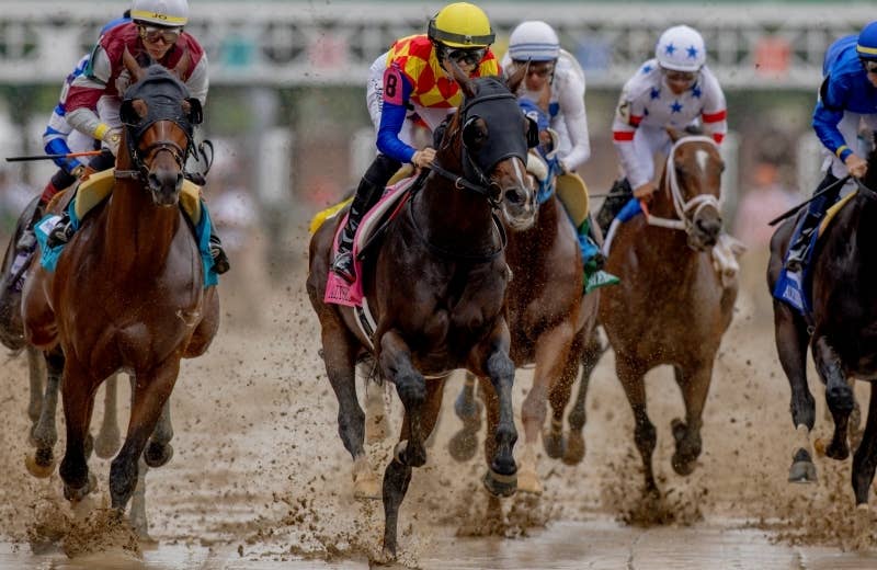 2024ブリーダーズカップ | JRA-VAN World - 海外競馬情報サイト