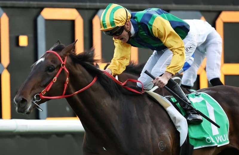 モンジュー　海外馬馬券38枚 モンジュー 海外馬馬券38枚 モンジュー 海外馬馬券38枚