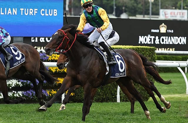モンジュー海外馬馬券38枚