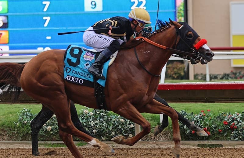 出走馬情報 | 2024ブリーダーズカップクラシック | JRA-VAN