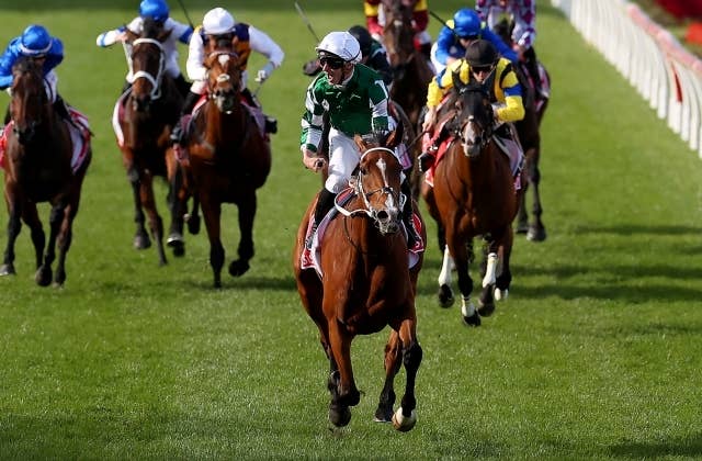 2024コックスプレート | JRA-VAN World - 海外競馬情報サイト