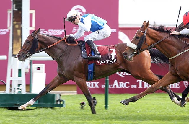 ダイワメジャー産駒ダブルメジャー、仏G1ロワイヤルオーク賞を連覇