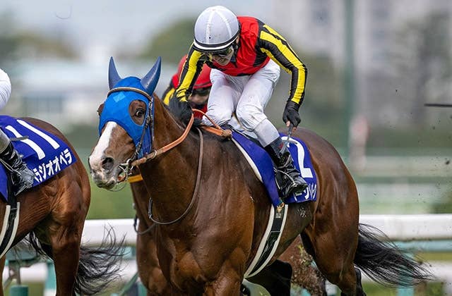 結果 | 2024ブリーダーズカップターフ | JRA-VAN World - 海外