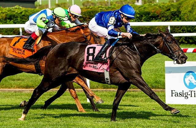 【BCフィリー＆メアターフ枠順】シンデレラズドリームは3番ゲート JRAVAN World 海外競馬情報サイト