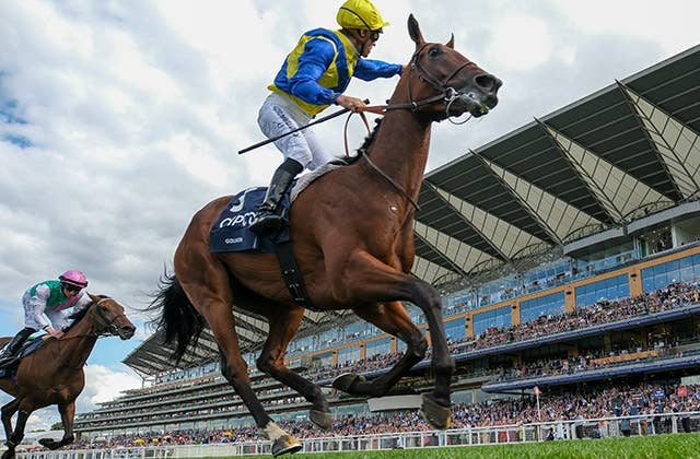 フィアースネス（Fierceness） 競馬データベース JRAVAN World 海外競馬情報サイト