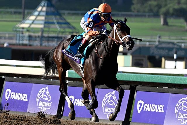 ブリーダーズカップクラシック（G1） 2024/11/2(土) | 日程・結果 