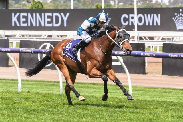 ディープ産駒ムラマサ、獣医検査でメルボルンカップ除外に | JRA-VAN