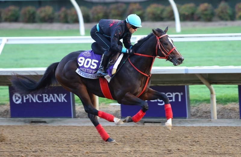 2024ブリーダーズカップジュベナイルターフ | JRA-VAN World