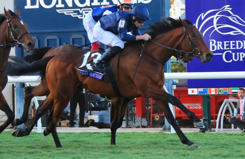 アンリマティス（Henri Matisse） | 競馬データベース | JRA-VAN World