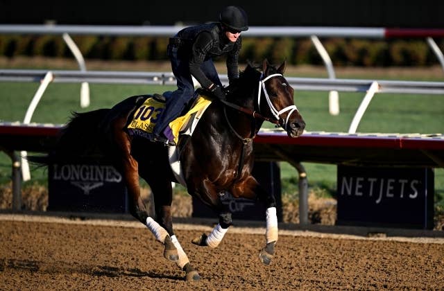 ピィアース 馬 HORSE 【新品】ピィアース（PIEARTH） 桜馬 EX500-1