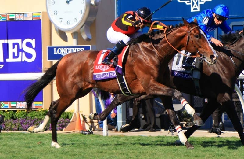 ローシャムパーク（Rousham Park） | 競馬データベース | JRA-VAN