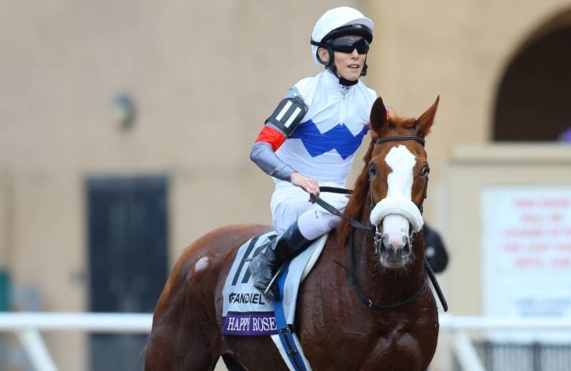 テンハッピーローズ｜名馬メモリアル｜競馬情報ならJRA-VAN