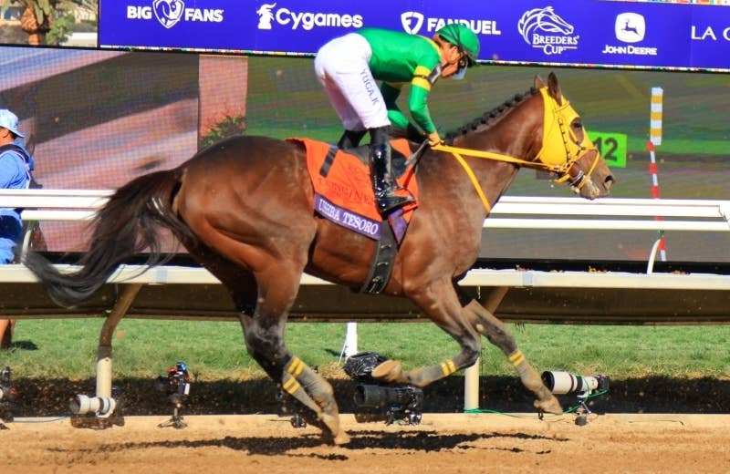 JRA 高木厩舎 USHBA TESORO キャップ 黒 ウシュバテソーロ（Ushba