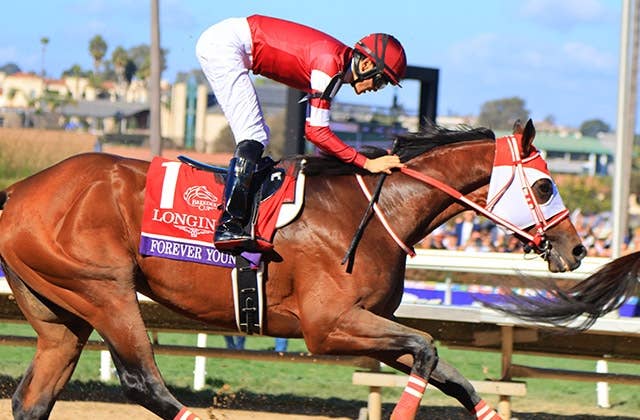 ブリーダーズカップ回顧】フォーエバーヤング3着、2021年デルマーの